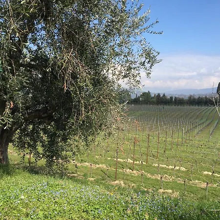 Tenuta La Ca