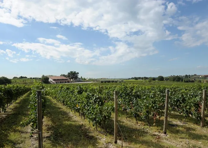 Апартаменти Tenuta La Ca